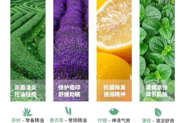 娇韵诗润肤精油能涂在痔疮上面吗.