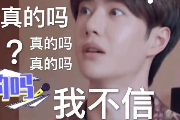 悦诗风吟成分表安全吗