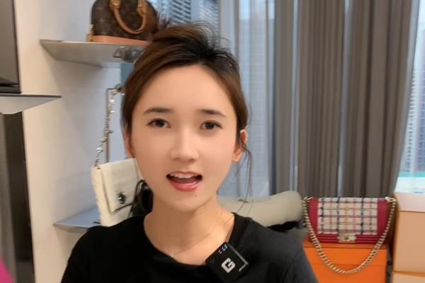 路易威登speedy 30帆布是枕头包吗