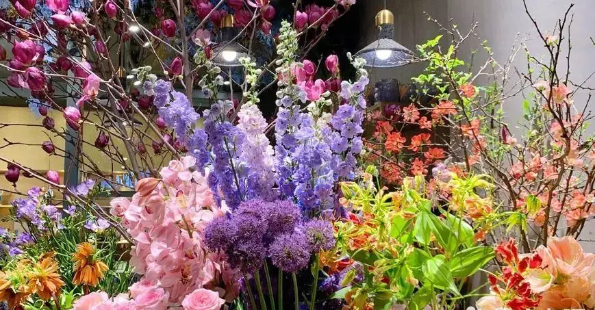 送别人帆船怎么写祝福语(4)