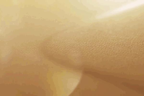 magsafe皮革卡包怎么取卡.