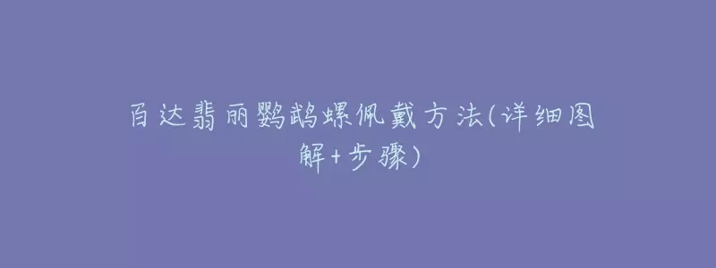 百达翡丽鹦鹉螺皮表带的正确戴法(1)