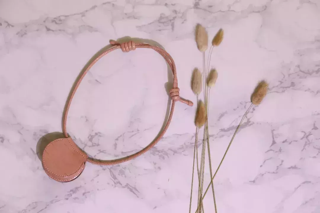 goyard信封包可以装手机吗(11)