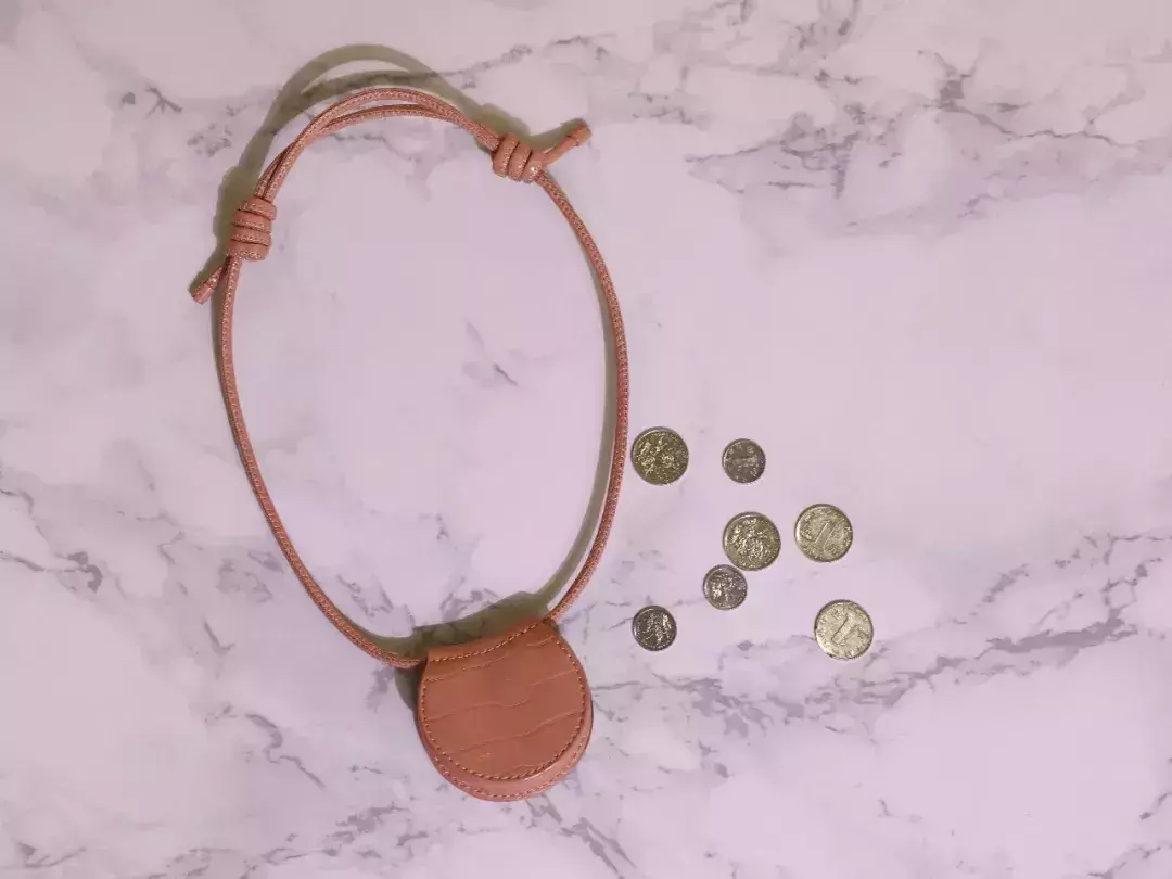 goyard信封包可以装手机吗(12)