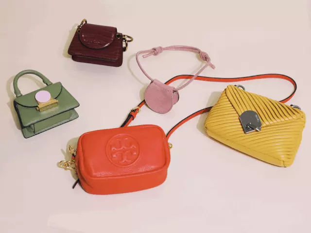 goyard信封包可以装手机吗(2)