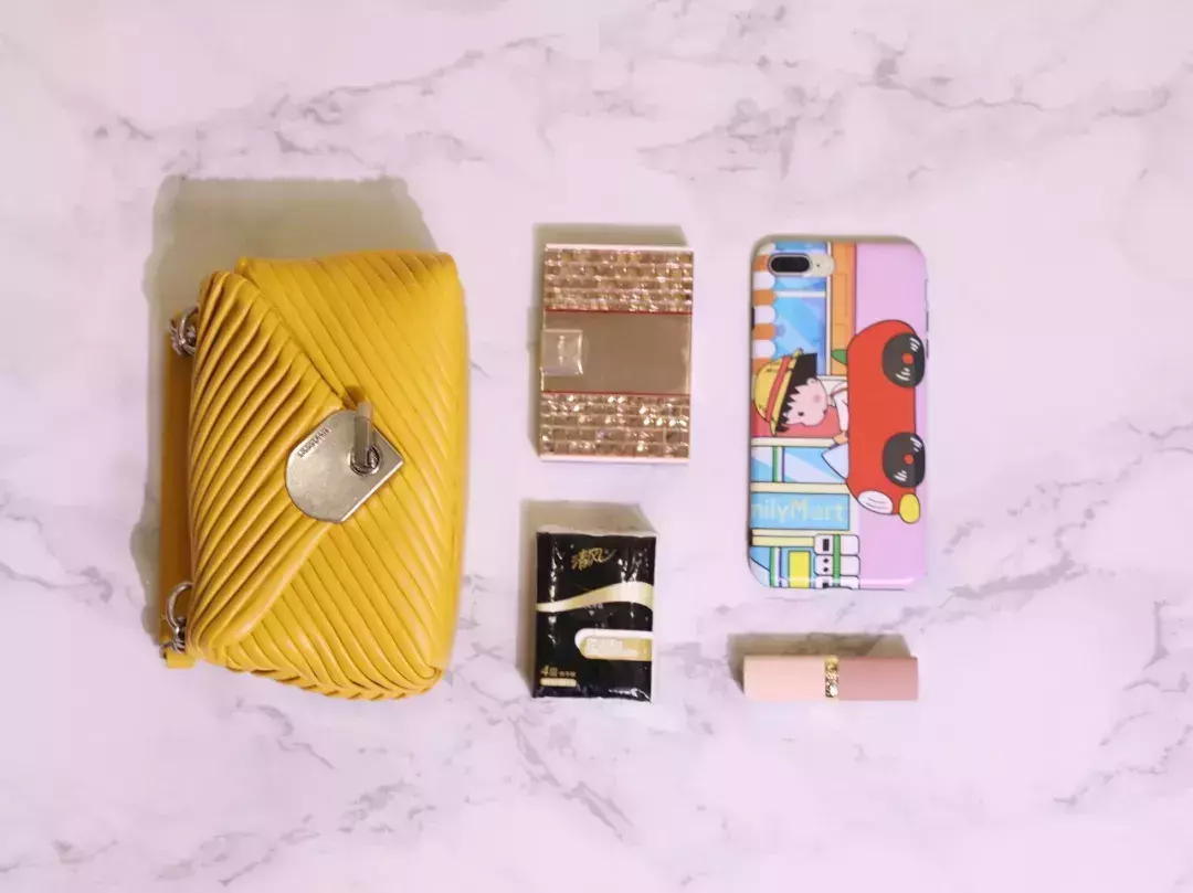 goyard信封包可以装手机吗(4)