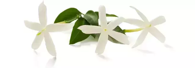 娇兰samsara轮回香水价格(4)