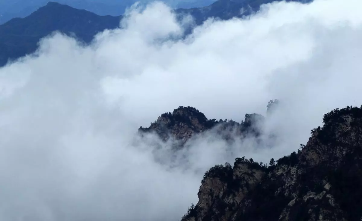 梅花石有收藏价值吗(1)