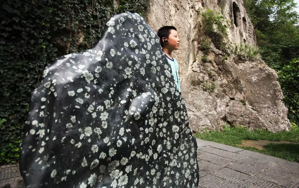 梅花石有收藏价值吗(7)