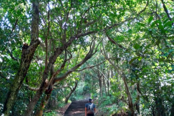 迪卡侬17l登山包登山杖怎么挂.