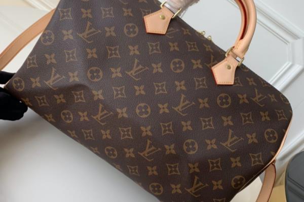 lv枕头包25和30哪个好